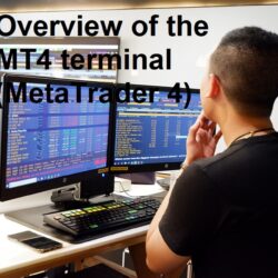 Overview of the MT4 terminal (MetaTrader 4)