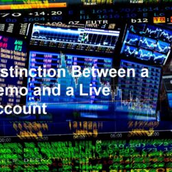 Distinction Between a Demo and a Live Account