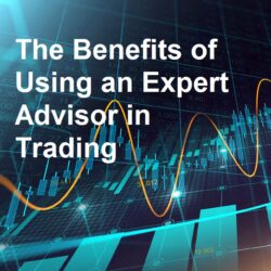 The Benefits of Using an Expert Advisor in Trading