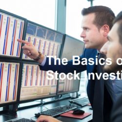 The Basics of Stock Investing