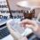 Basic Characteristics of a Day Trader