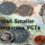 British Smaller Companies VCTs