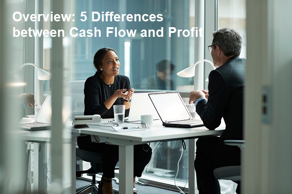 Overview 5 Differences between Cash Flow and Profit